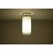 Besa Lighting Pahu 8 Ceiling, Trans. Olive/Opal, Satin Nickel Finish, 1x100W Incandescent 1KM-L00607-SN - alternate 1